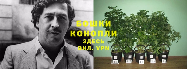 кокс Липки